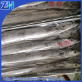 Frozen ribbon fish for sale